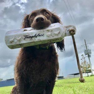 Meet your Posher, Patrick